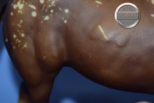 Load image into Gallery viewer, Goin' for Approval-BODY-Stock Horse Mare Mold-Breyer Traditional