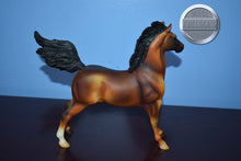 Load image into Gallery viewer, Custom Bay-Hackney Pony Mold-Breyer Traditional