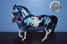 Load image into Gallery viewer, Tabitha-Halloween Exclusive-Morgan Mold-Breyer Classic