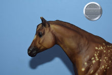 Load image into Gallery viewer, Goin' for Approval-BODY-Stock Horse Mare Mold-Breyer Traditional