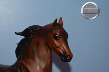 Load image into Gallery viewer, Naranda-National Show Horse Mold-Breyer Traditional