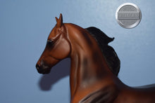 Load image into Gallery viewer, Naranda-National Show Horse Mold-Breyer Traditional