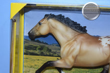 Load image into Gallery viewer, Hakan-TSC Exclusive-Smarty Jones Mold-New in Box-Breyer Traditional