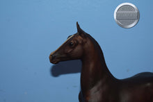Load image into Gallery viewer, Liver Chestnut-Saddlebred Weanling Mold-Breyer Traditional