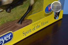 Load image into Gallery viewer, Hakan-TSC Exclusive-Smarty Jones Mold-New in Box-Breyer Traditional