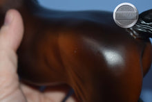 Load image into Gallery viewer, Naranda-National Show Horse Mold-Breyer Traditional