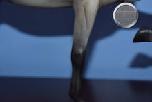 Load image into Gallery viewer, Color Crazy Mare-National Show Horse Mold-Breyer Traditional