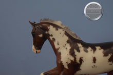 Load image into Gallery viewer, True North-Premier Club Exclusive-Warmblood Stallion Mold-Breyer Traditional