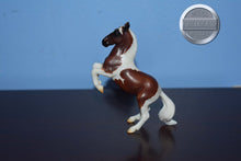 Load image into Gallery viewer, Pinto Lipizzaner from Pinto and Palominos Set-Rearing Lipizzaner-Breyer Stablemate
