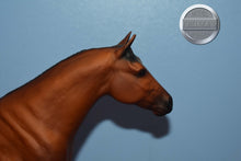Load image into Gallery viewer, Offspring of King P-234-Ideal Quarter Horse Mold-Breyer Traditional