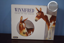 Load image into Gallery viewer, Winifred-Premier Club Exclusive-Molly Mule Mold-Breyer Traditional