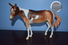 Load image into Gallery viewer, Winifred-Premier Club Exclusive-Molly Mule Mold-Breyer Traditional