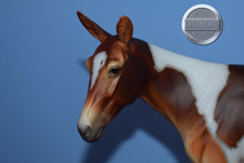 Load image into Gallery viewer, Winifred-Premier Club Exclusive-Molly Mule Mold-Breyer Traditional