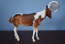 Load image into Gallery viewer, Winifred-Premier Club Exclusive-Molly Mule Mold-Breyer Traditional