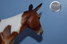Load image into Gallery viewer, Winifred-Premier Club Exclusive-Molly Mule Mold-Breyer Traditional
