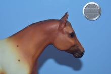 Load image into Gallery viewer, BODY-Quarter Horse Yearling Mold-Breyer Traditional