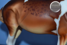 Load image into Gallery viewer, Winifred-Premier Club Exclusive-Molly Mule Mold-Breyer Traditional
