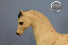 Load image into Gallery viewer, Ara-Appaloosa Stallion-Family Arabian Stallion Mold-Breyer Traditional