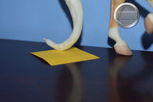 Load image into Gallery viewer, Charisma-National Show Horse Mold-Breyer Traditional