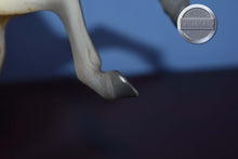 Load image into Gallery viewer, Ara-Appaloosa Stallion-Family Arabian Stallion Mold-Breyer Traditional