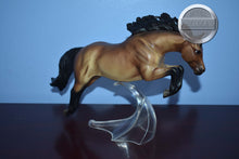 Load image into Gallery viewer, Best of British Loose Many Connemara Pony-Newsworthy Mold-Breyer Traditional