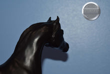 Load image into Gallery viewer, Walter Farley&#39;s Black Stallion-Sham Mold-Breyer Traditional