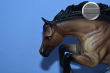 Load image into Gallery viewer, Best of British Loose Many Connemara Pony-Newsworthy Mold-Breyer Traditional
