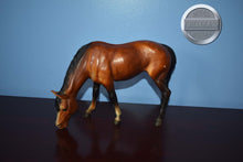 Load image into Gallery viewer, BODY-Grazing Mare Mold-Breyer Traditional