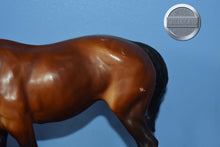 Load image into Gallery viewer, BODY-Grazing Mare Mold-Breyer Traditional