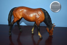 Load image into Gallery viewer, BODY-Grazing Mare Mold-Breyer Traditional