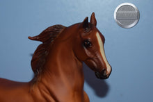 Load image into Gallery viewer, Rejoice-National Show Horse Mold-Breyer Traditional