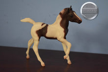 Load image into Gallery viewer, Chestnut Pinto Foal from Fun Foals Set-Andalusian Foal Mold-Breyer Classic