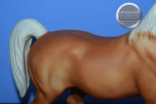 Load image into Gallery viewer, Faith-Family Arabian Stallion Mold-Breyer Traditional