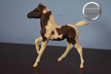 Load image into Gallery viewer, Chestnut Pinto Foal from Fun Foals Set-Andalusian Foal Mold-Breyer Classic