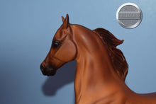Load image into Gallery viewer, Rejoice-National Show Horse Mold-Breyer Traditional