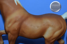 Load image into Gallery viewer, Faith-Family Arabian Stallion Mold-Breyer Traditional