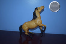 Load image into Gallery viewer, Buckskin Diablo-Semi Rearing Mustang Stallion Mold-Breyer Traditional