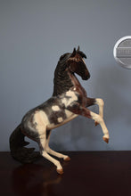 Load image into Gallery viewer, Custom Bay Roan Pinto-Desatado Mold-Breyer Traditional