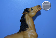 Load image into Gallery viewer, Buckskin Diablo-Semi Rearing Mustang Stallion Mold-Breyer Traditional