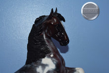 Load image into Gallery viewer, Custom Bay Roan Pinto-Desatado Mold-Breyer Traditional