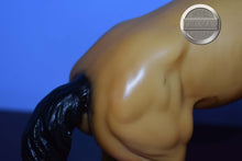Load image into Gallery viewer, Buckskin Diablo-Semi Rearing Mustang Stallion Mold-Breyer Traditional
