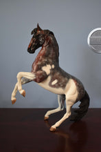 Load image into Gallery viewer, Custom Bay Roan Pinto-Desatado Mold-Breyer Traditional