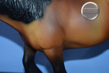 Load image into Gallery viewer, Bay Shire Mare-Shire Mare Mold-Breyer Traditional