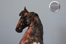 Load image into Gallery viewer, Custom Bay Roan Pinto-Desatado Mold-Breyer Traditional