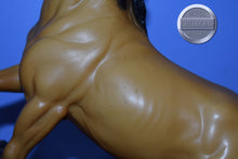 Load image into Gallery viewer, Buckskin Diablo-Semi Rearing Mustang Stallion Mold-Breyer Traditional
