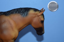 Load image into Gallery viewer, Bay Shire Mare-Shire Mare Mold-Breyer Traditional