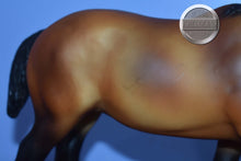 Load image into Gallery viewer, Bay Shire Mare-Shire Mare Mold-Breyer Traditional