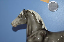 Load image into Gallery viewer, Levi-Vintage Club Exclusive-Belgian Mold-Breyer Traditional