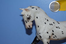 Load image into Gallery viewer, Brahms #3-Breyerfest Exclusive-Big Ben Mold-Breyer Traditional