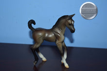 Load image into Gallery viewer, Grullo Foal-Trotting Warmblood Foal Mold-Breyer Classic